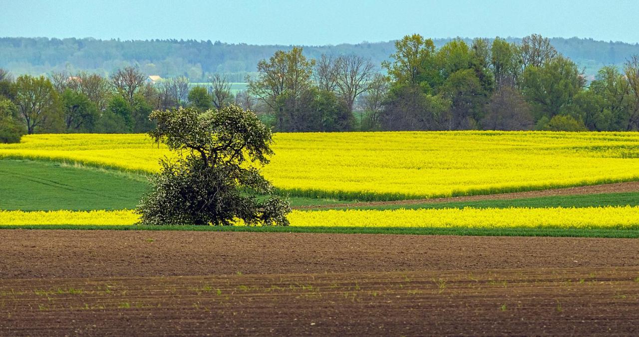 Cztery Luksusowe Domy Na Mazurach, Jezioro Juksty - Sakurarest Sniadowo  Екстер'єр фото